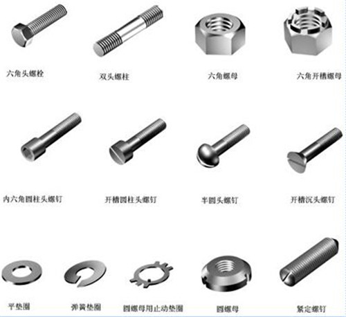 �ݼyo�̼��DƬչʾ